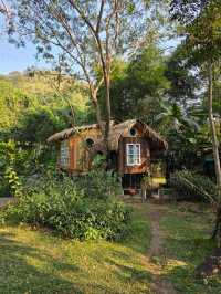 Riverside Bliss - Pet-Friendly Perfection!