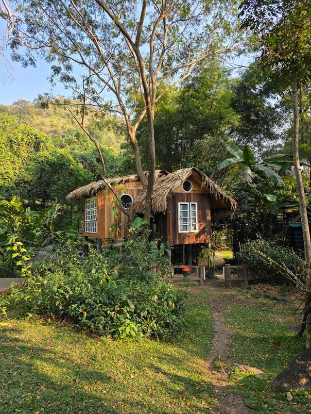 Riverside Bliss - Pet-Friendly Perfection!