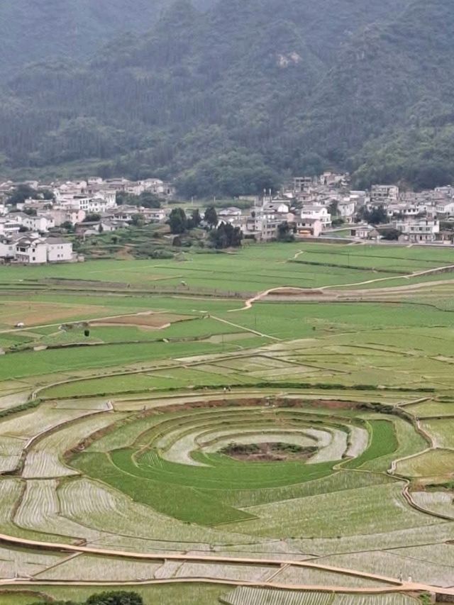 天下山峰何其多  唯有此處峰成林