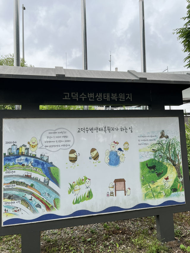 고덕 수변 생태 공원