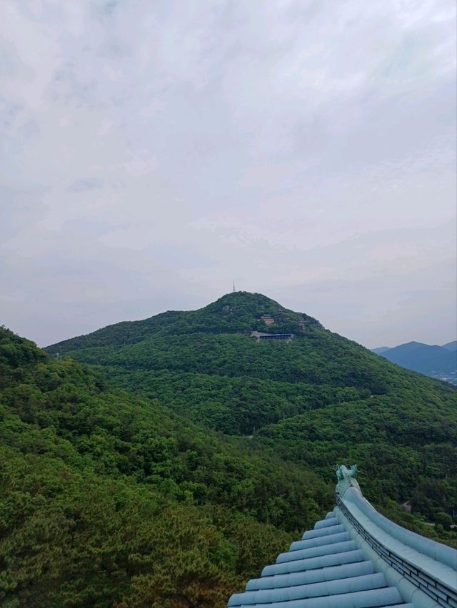 산길 따라 이어지는 아이의 작은 탐험