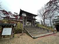 🌧️ Moody Skies Over Kubota Castle Ruins – A Quiet Slice of History