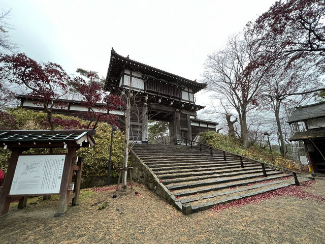 🌧️ Moody Skies Over Kubota Castle Ruins – A Quiet Slice of History