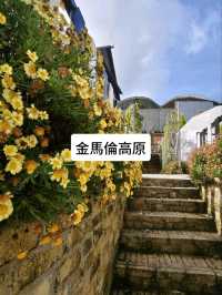 馬來西亞檳城怡保金馬倫遊