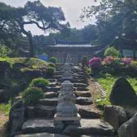 Chill Trails & Cloudy Views at Seodaesan Peak
