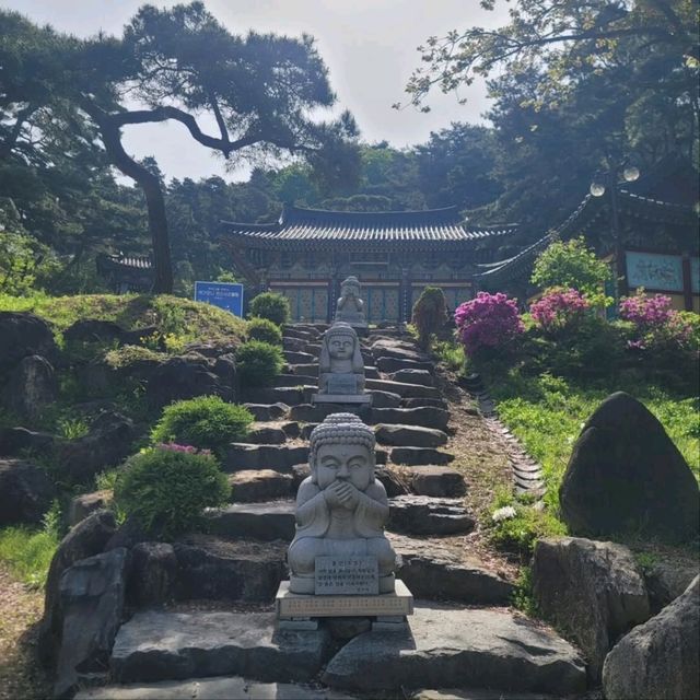 Chill Trails & Cloudy Views at Seodaesan Peak