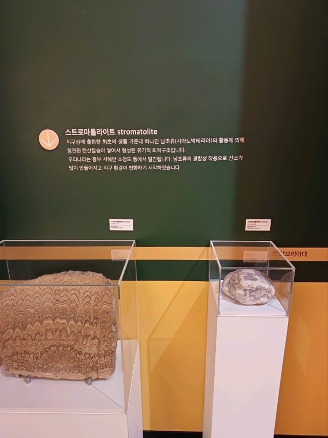 친구들과 웃음 가득한 추억 여행