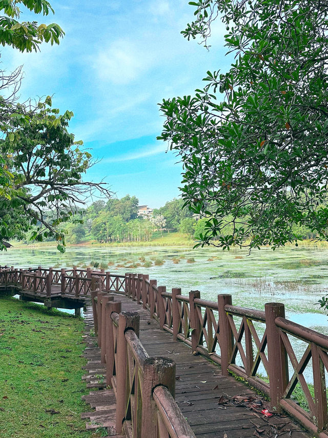 Where Sundays Bloom: A Morning at Taman Wetland Putrajaya
