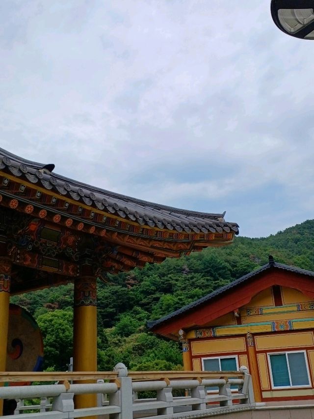마음 정리하기 좋은 사찰🍃