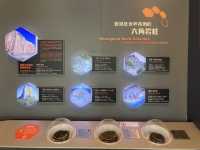 更認識香港，萬宜東壩六角岩