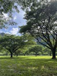 ลานจามจุรี บ่อแสน พังงา 🌳