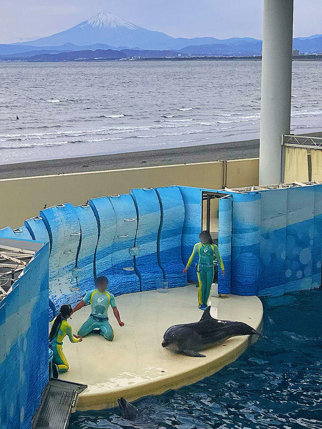 5 Epic Days in Tokyo Your Anime-Loving Kids Will Never Forget!