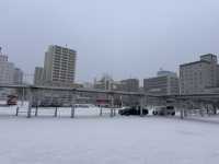【燒味控天堂🔥】排隊也要吃到的北海道烤雞傳奇──長谷川商店