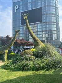 ✨4D3N Chongqing Itinerary: Pandas, Spicy Eats & Karst Adventures