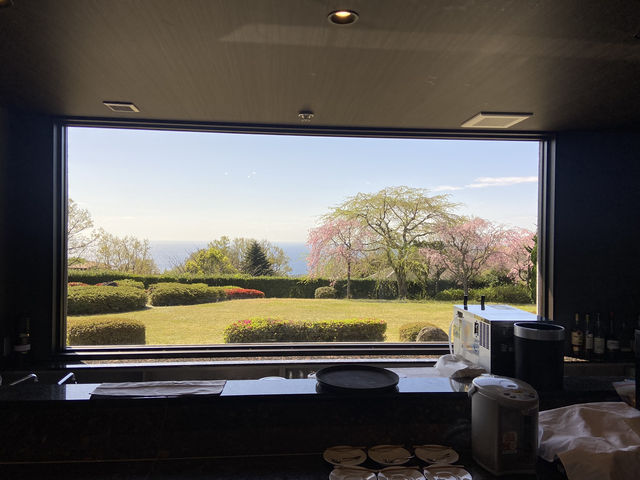 【伊豆】のんびりステイなら熱海より伊豆🐡🩵