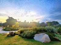 The Serene Floral Garden in Japanese gardens