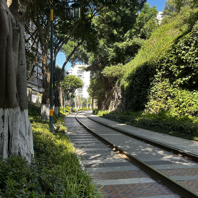 Xiamen Railway Culture Park: Where Tracks Tell Tales (And Your Instagram Wins)"** 🚂📸