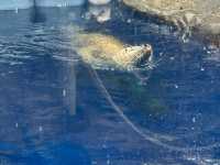 上越市立水族博物館（色調非常漂亮）