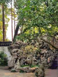 Experiencing Ancient China in Yu Garden