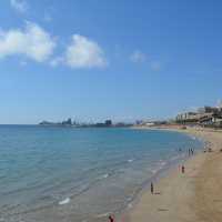 【スペイン】日帰りOK！ローマの風を感じるタラゴナ街歩き完全攻略ガイド🇪🇸🏛️🌊