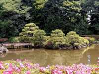 Shinjuku Gyoen