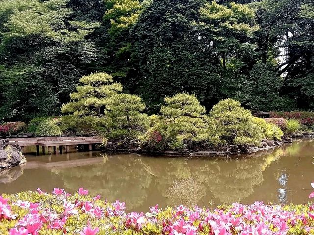 Shinjuku Gyoen