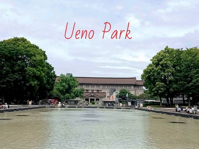 ชมสวน Ueno เที่ยวตลาด Ameyoko