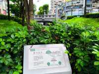 Shin Sei Green Waterway ไถจง