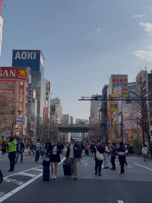 Akihabara สวรรค์ของคนรักของเล่น💖