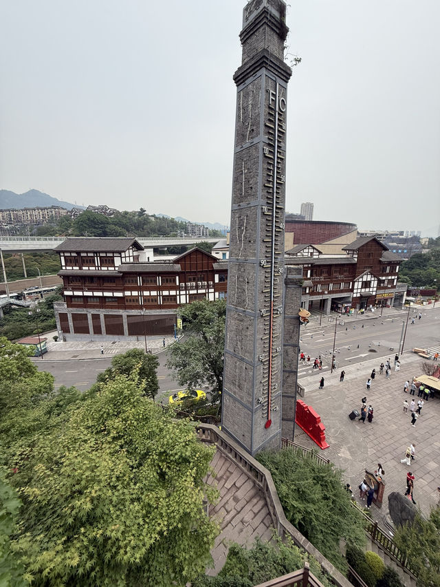 Tea, Trails & Twinkling Nights in Chongqing!