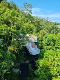 Lamai Viewpoint 