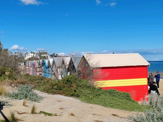 Brighton Bathing Boxes（彩虹小屋）——墨尔本最缤纷的海岸明信片