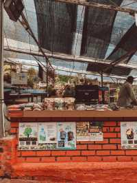 Strawberries, Flowers & Café Treats: A Day at Big Red Farm