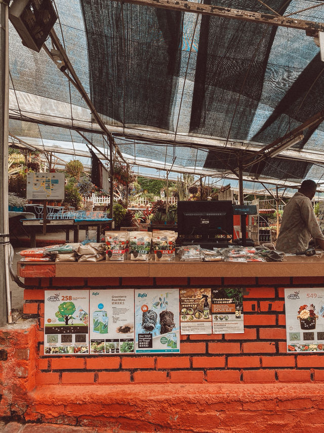 Strawberries, Flowers & Café Treats: A Day at Big Red Farm