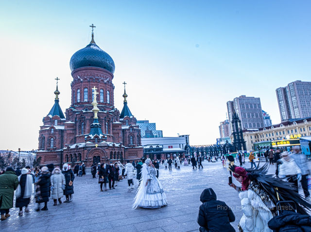 Plan harbin 