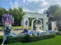 Dine and admire the blooms at WF Central Gardens Cafe