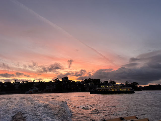 호주 시드니 페리 선셋 최적의 루프 Pyrmont Bay - Circular Quay
