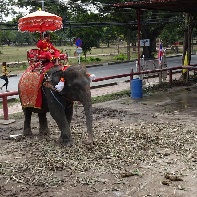 初心者🔰オススメ！微笑みのタイ旅行