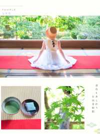 【京都】夏の大原・旅プラン🌿🫧