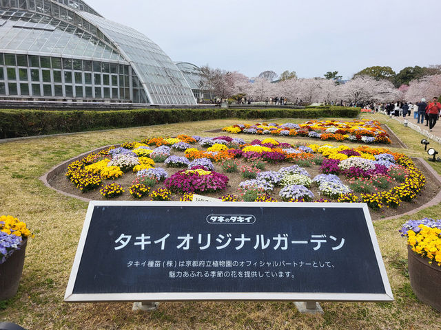四季皆美的京都府立植物園