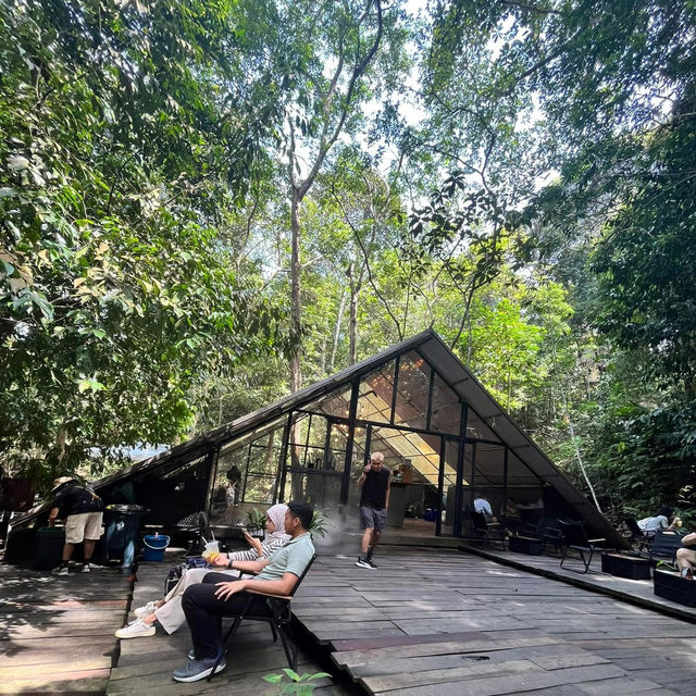 🍃Post-Hike Treat at Hill & Heal Café – A Hidden Gem in Kluang!🌿