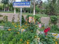 Dushanzi Xigema International Hotel: A Comfortable Gateway by the Duku Highway 