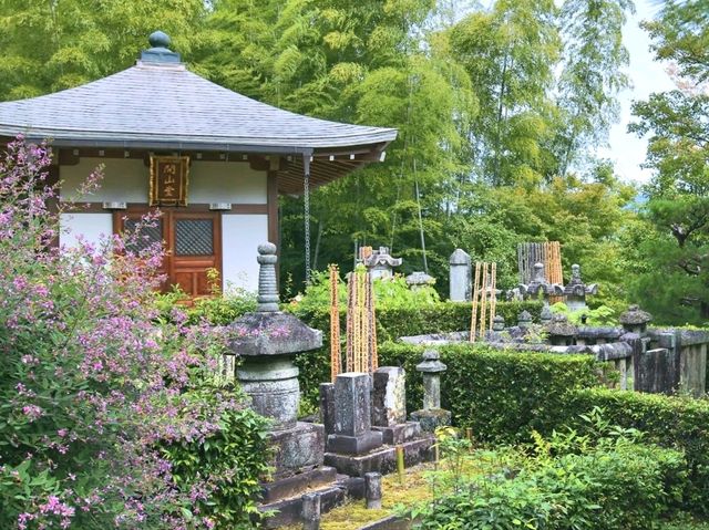Kyoto’s Quiet Corner: Jojakko-ji Reflections