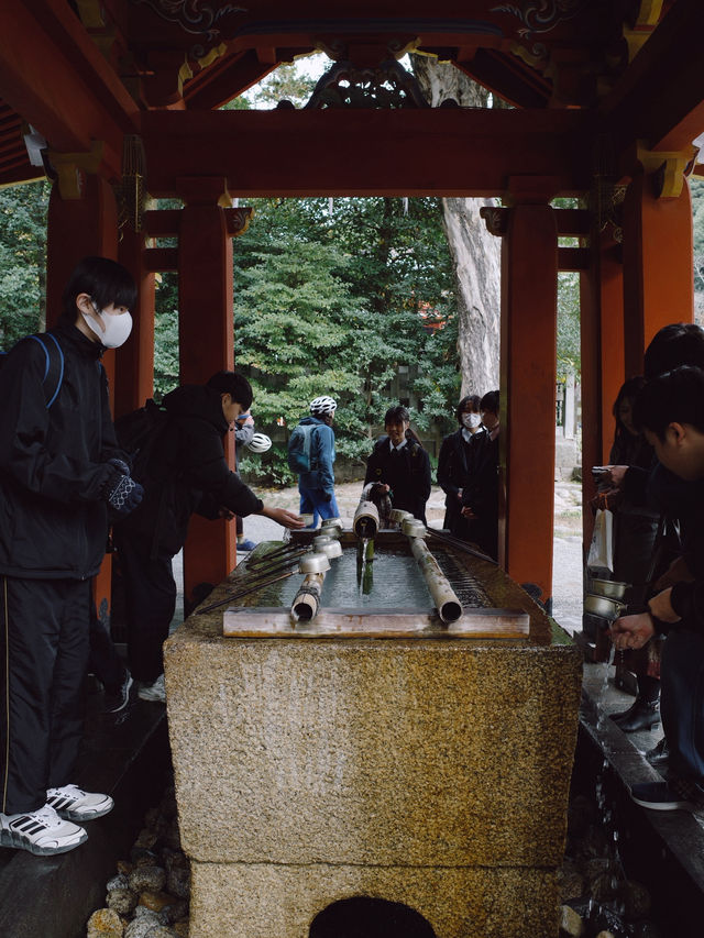 Tsurugaoka Hachimangu ⛩️