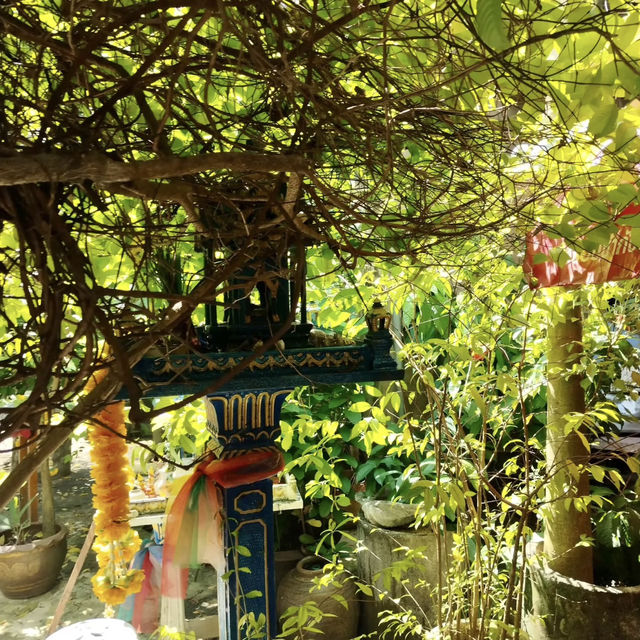Spice, Smoke & Songkhla Soul – My Visit to Baan Khun Bhu (Baan Khun Bun), Hat Yai