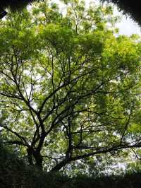 Fort canning park