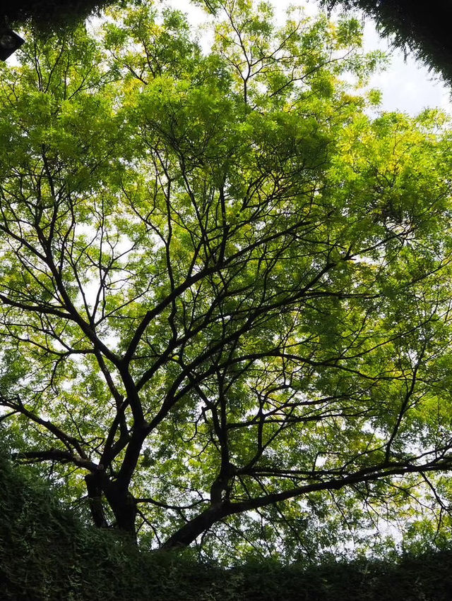 Fort canning park