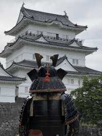小田原城にラストサムライ⁈
