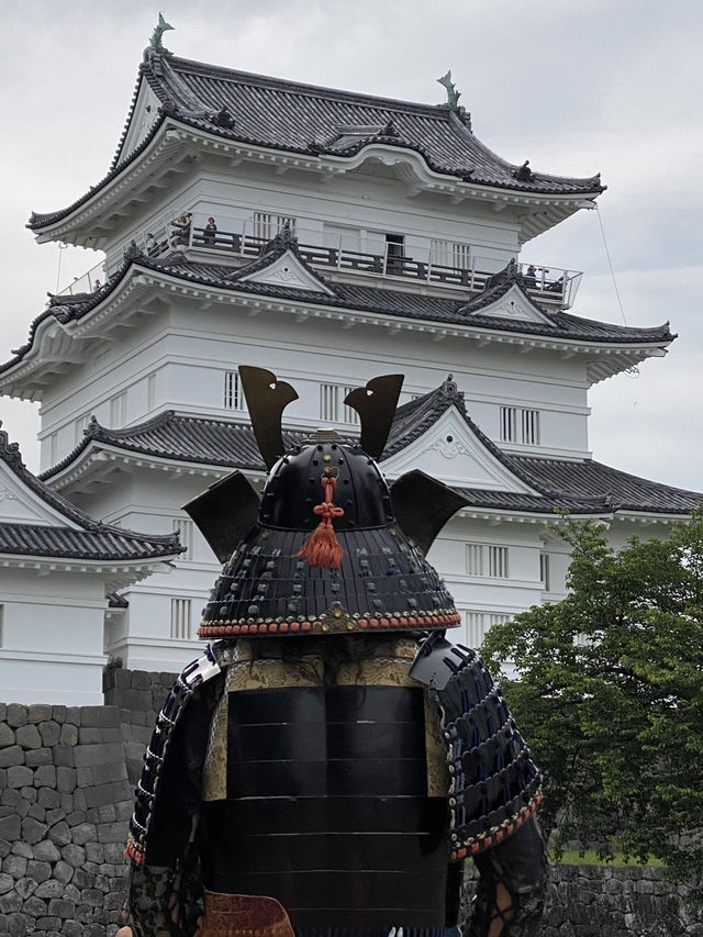 小田原城にラストサムライ⁈