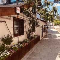 Solo Adventure in Ihwa Mural Village: Seoul’s Most Colorful Escape** 🎨🏡